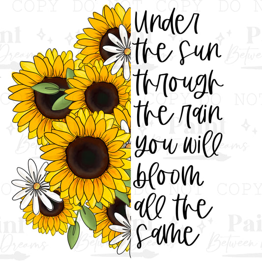 Sunflower Bloom PNG